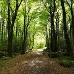 Corrib Waters Retreat, Moycullen