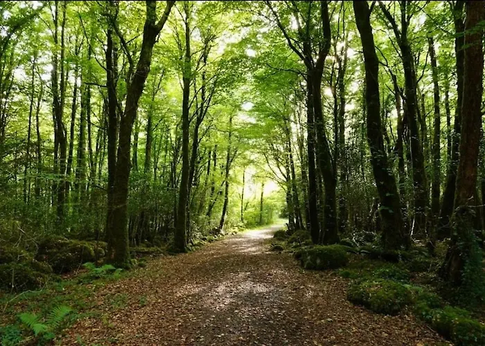 Corrib Waters Retreat, Moycullen